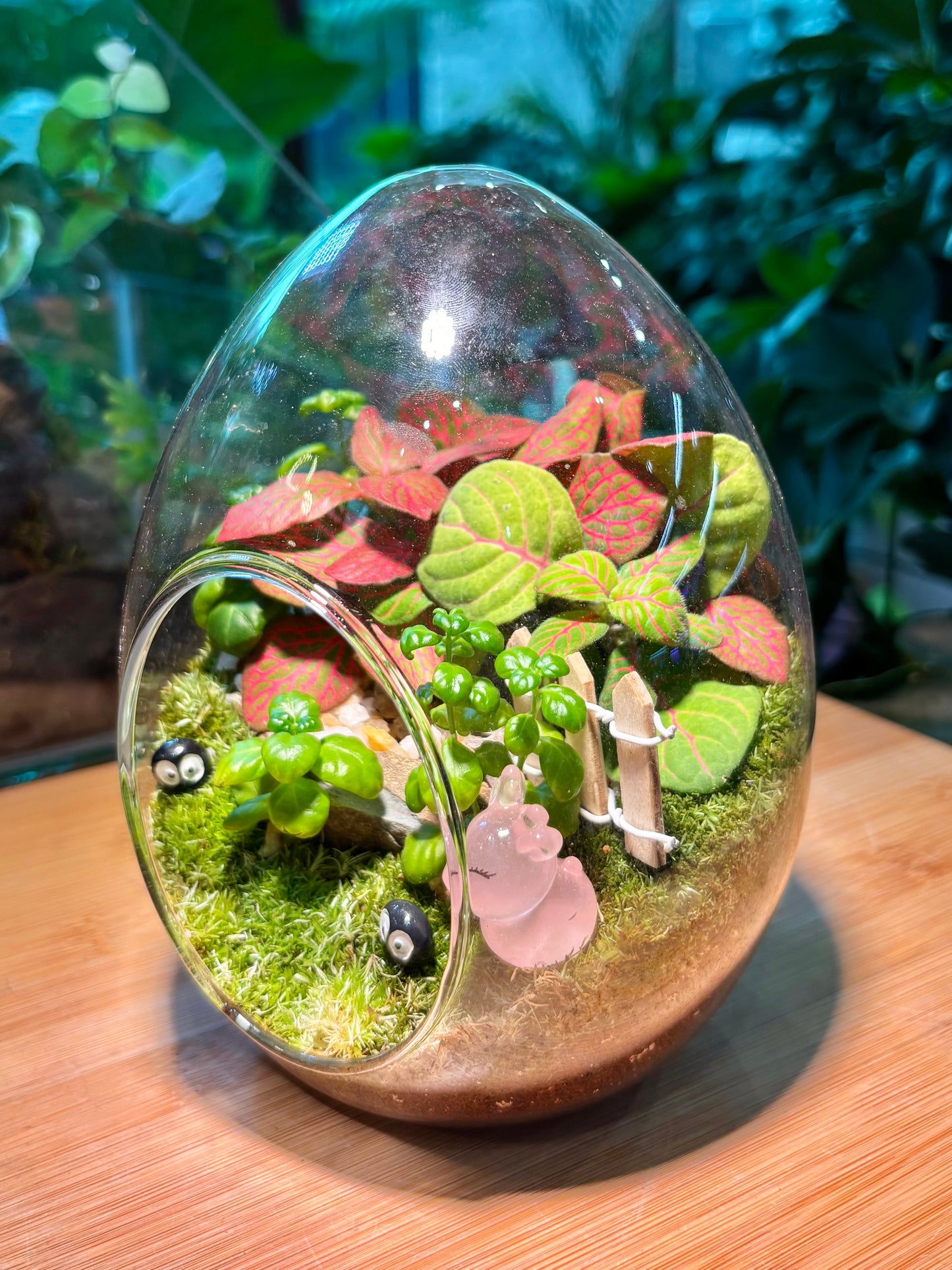 Indoor Plant in Egg Glass Terrarium 🐰🪺