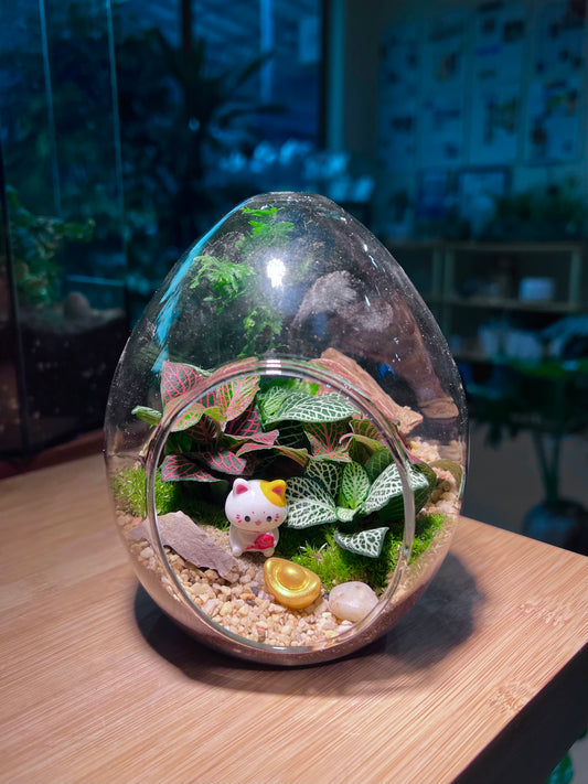 Fittonia and Fern with Moss Arrangement in Eggette Glass (M)