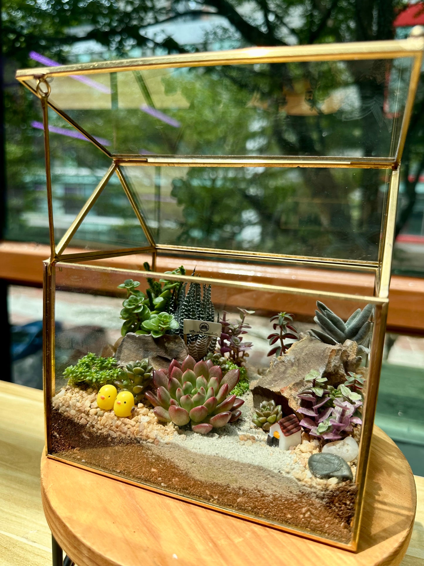 Succulent Arrangement in Golden Frame Glasshouse Terrarium