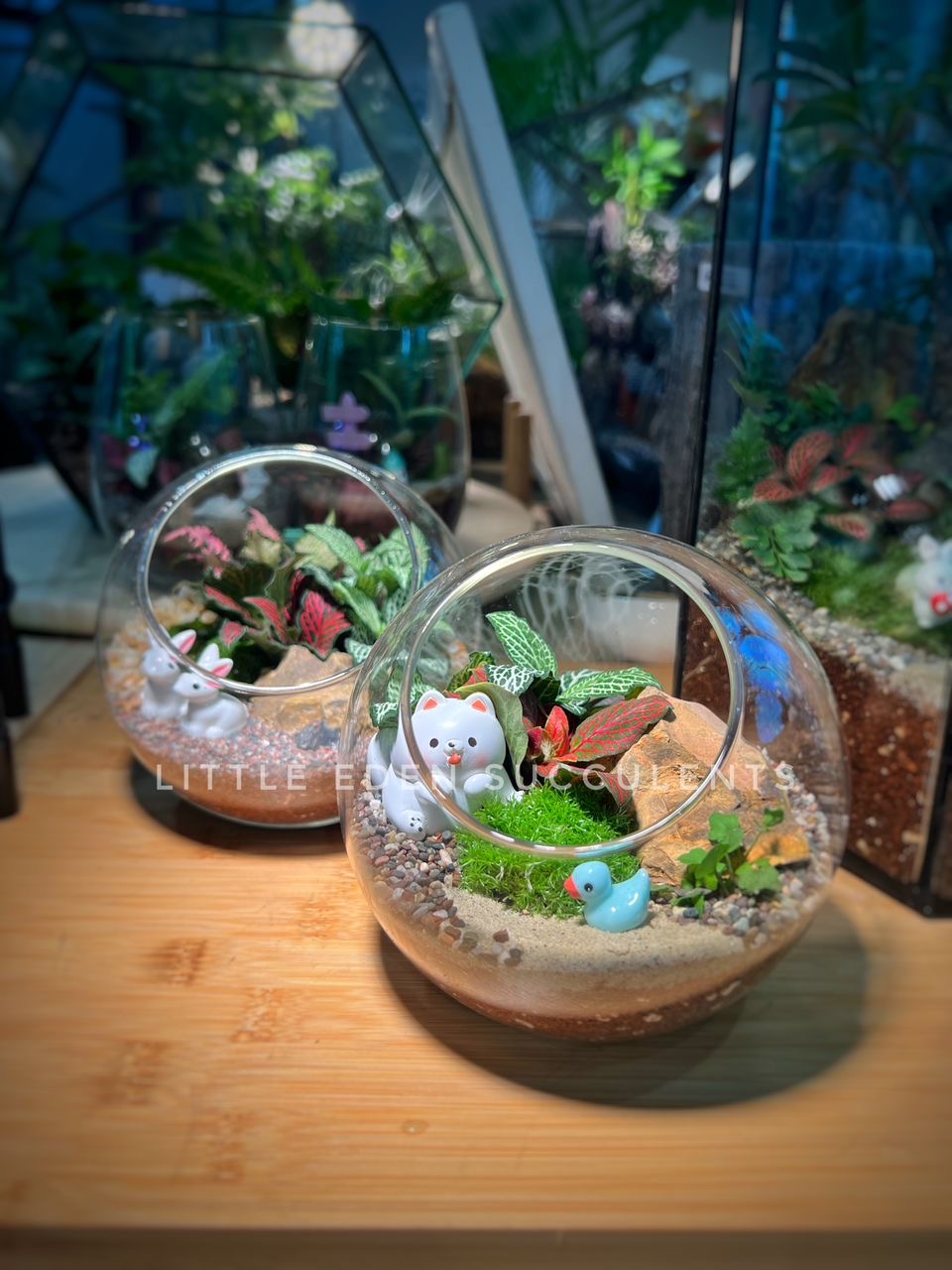 Fittonia with Moss Arrangement in Round Glass Terrarium (L)