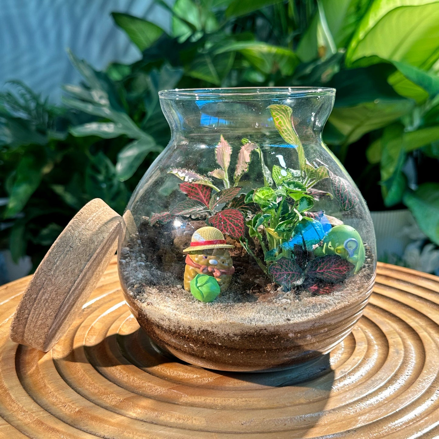 Fittonia & Fern Arrangement in Round Covered Glass (M)