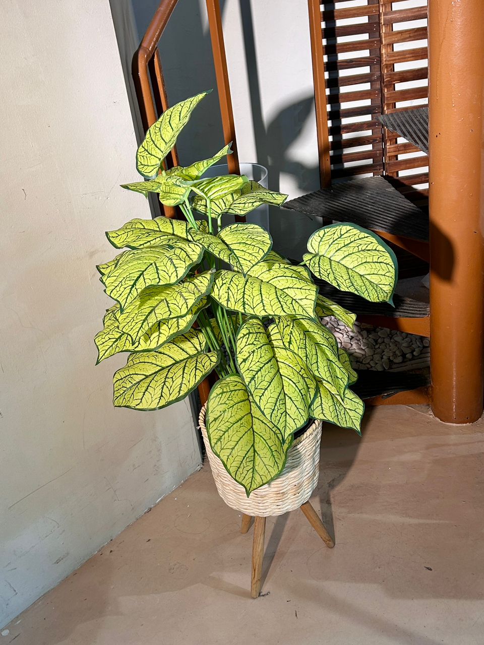 Artificial Caladium Lindenii (乳脉千年芋) in Brown Polymer Pot