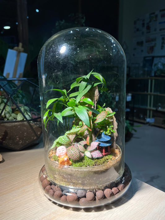 Fittonia and Nageia Nagi with Moss (Indoor Plant) Arrangement in Bell Glass Terrarium (L)