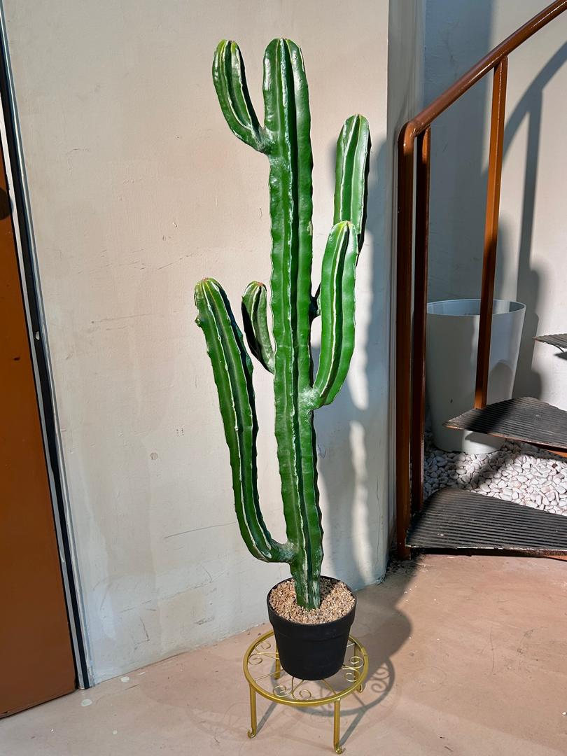 Artificial Cactus (δ»δΊΊζ) in Black Polymer Pot