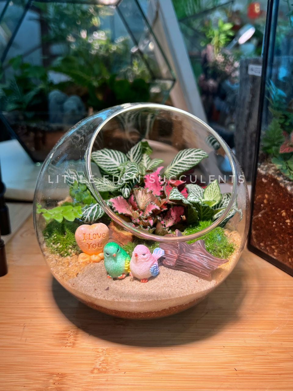 Fittonia & Fern with Moss Arrangement in Round Glass Terrarium (XL)