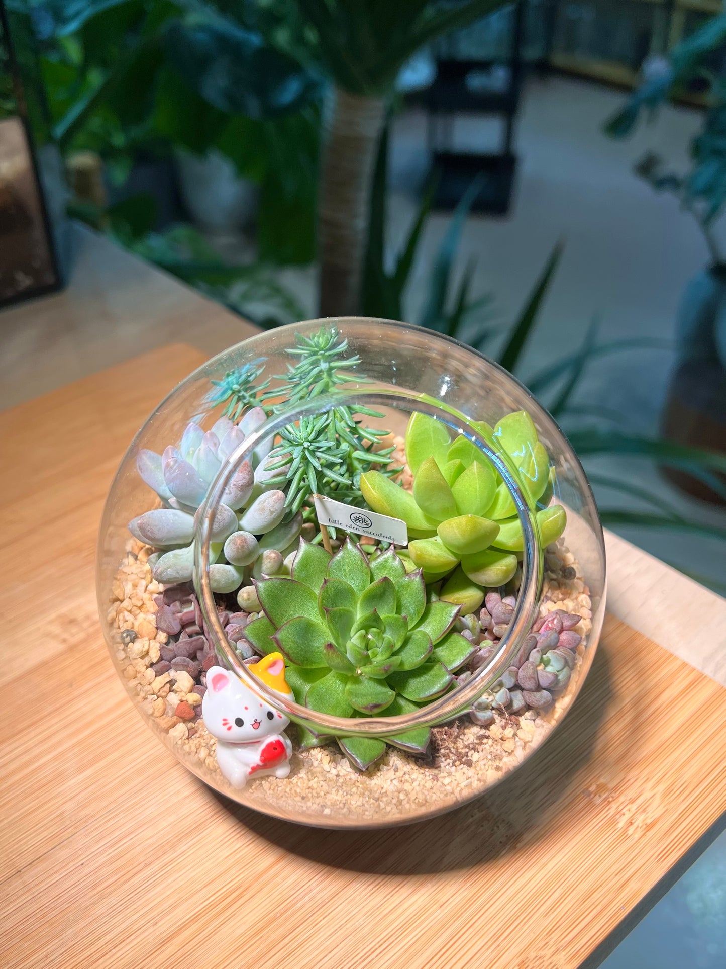 Succulent Arrangement in Round Glass (L)