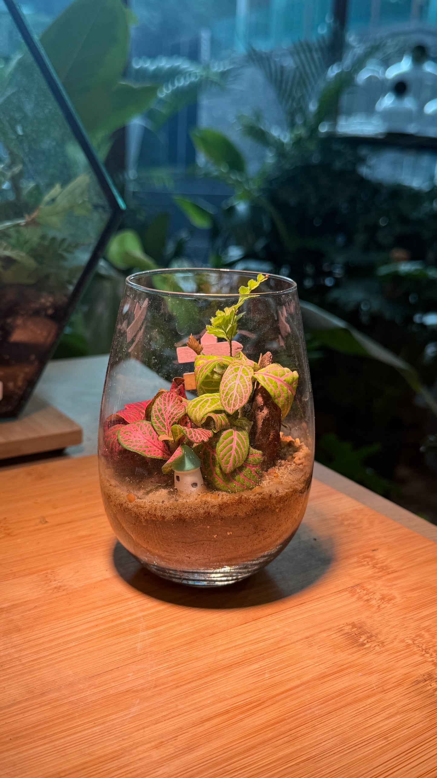 Tall Glass Indoor Plant Terrarium (M) DIY Kit
