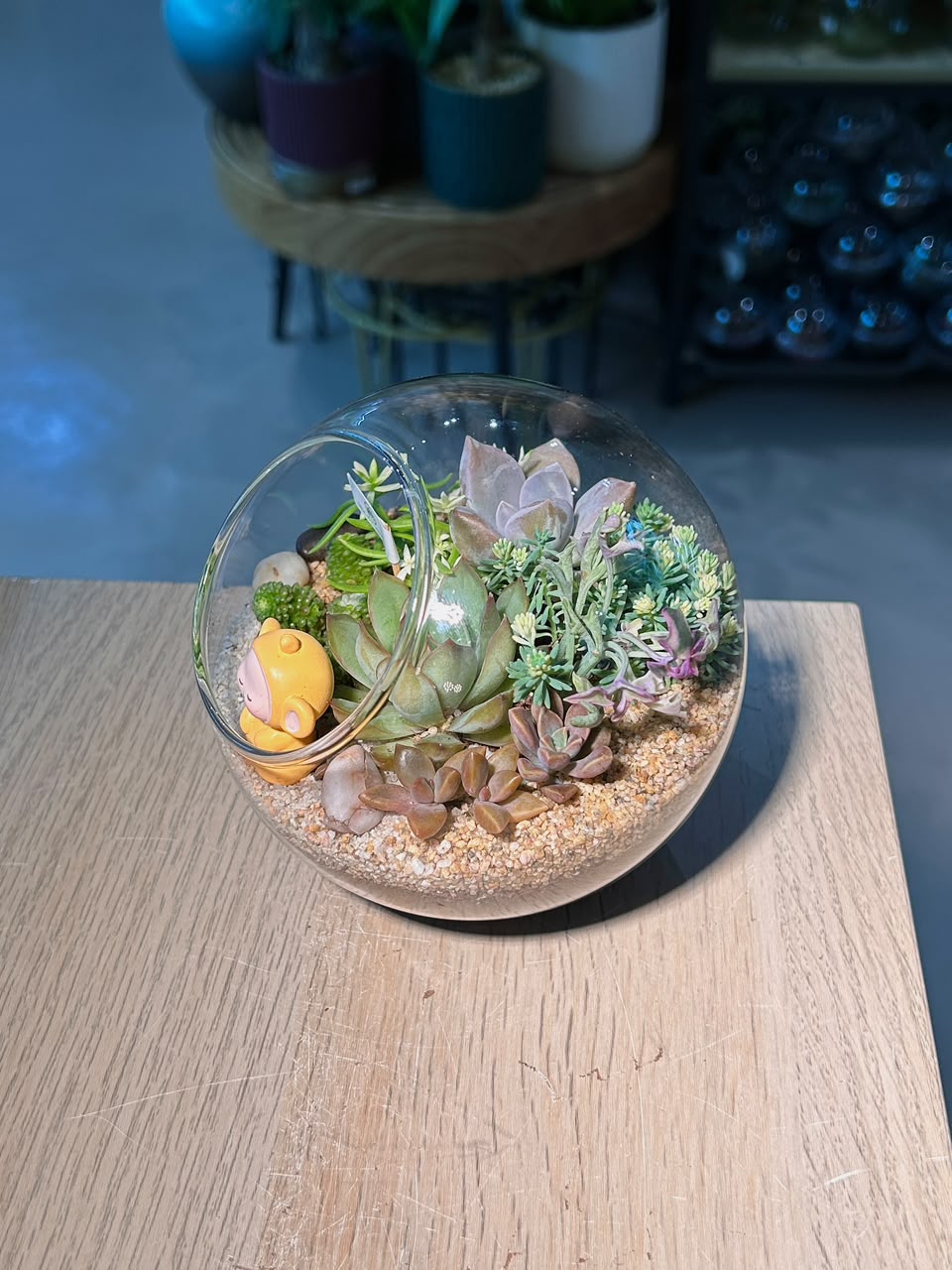 Succulent Terrarium in Round Glass (L)