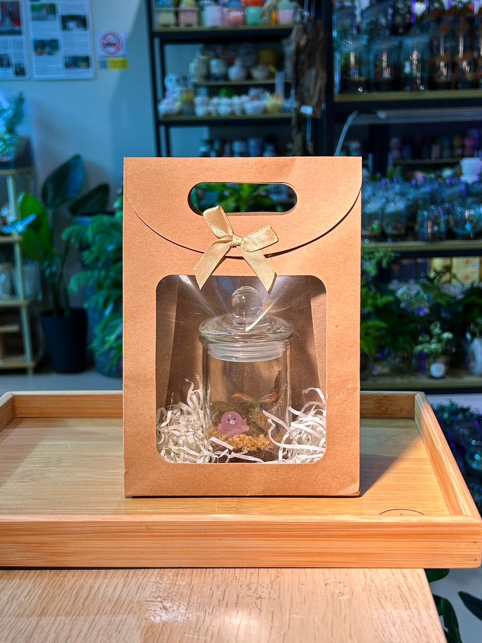 Window Gift Bag with Ribbon