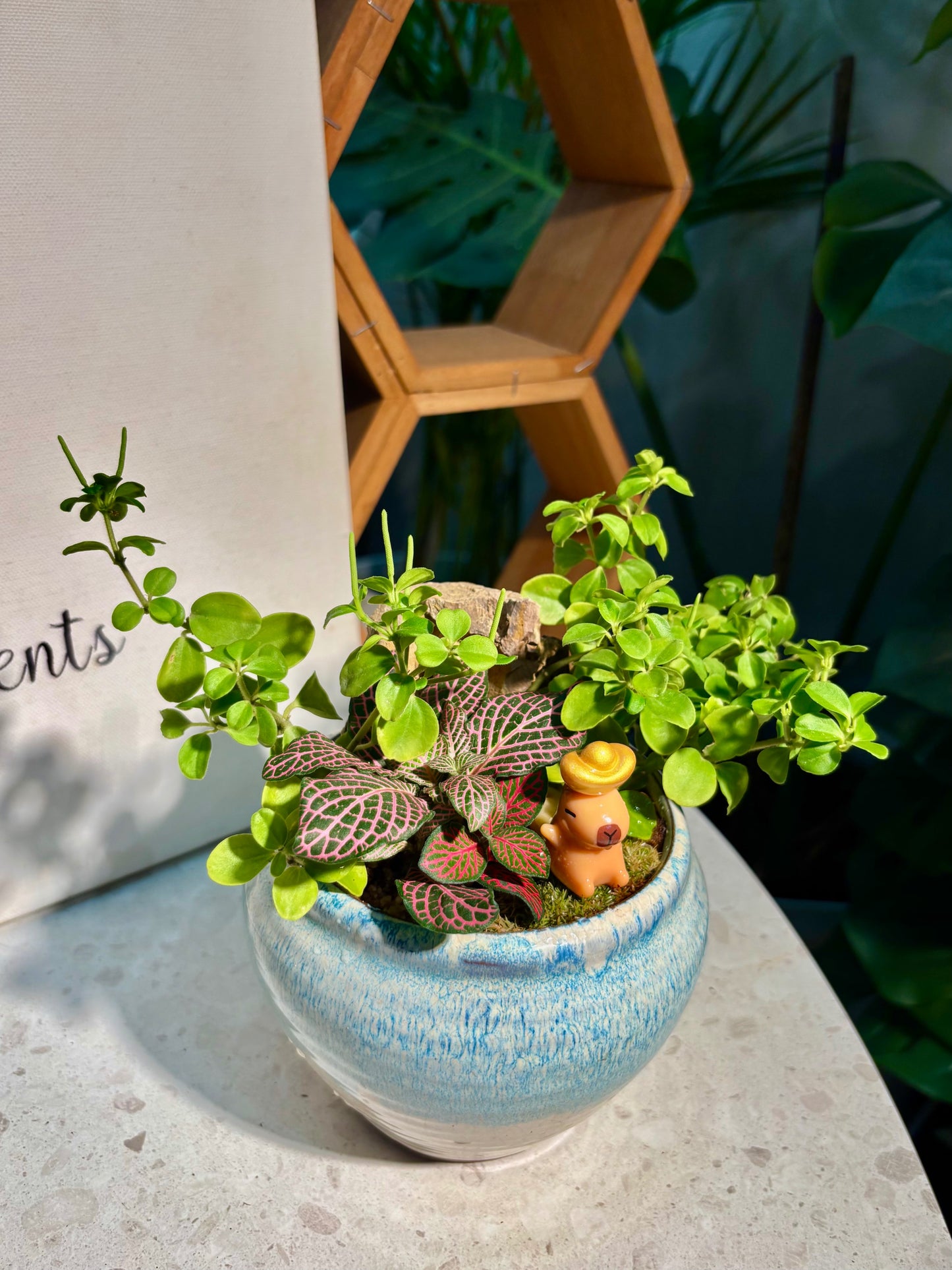 Fittonia & Peperomia Rotundifolia Arrangement in Capybara Blue Sea Pot