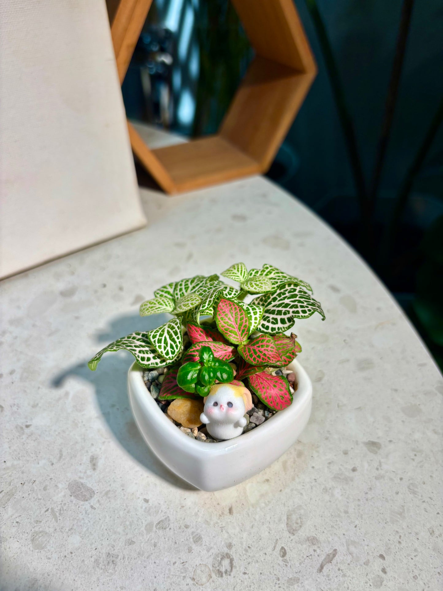 Fittonia & Coprosma Repens Arrangement in Little Bunny Pot🐰