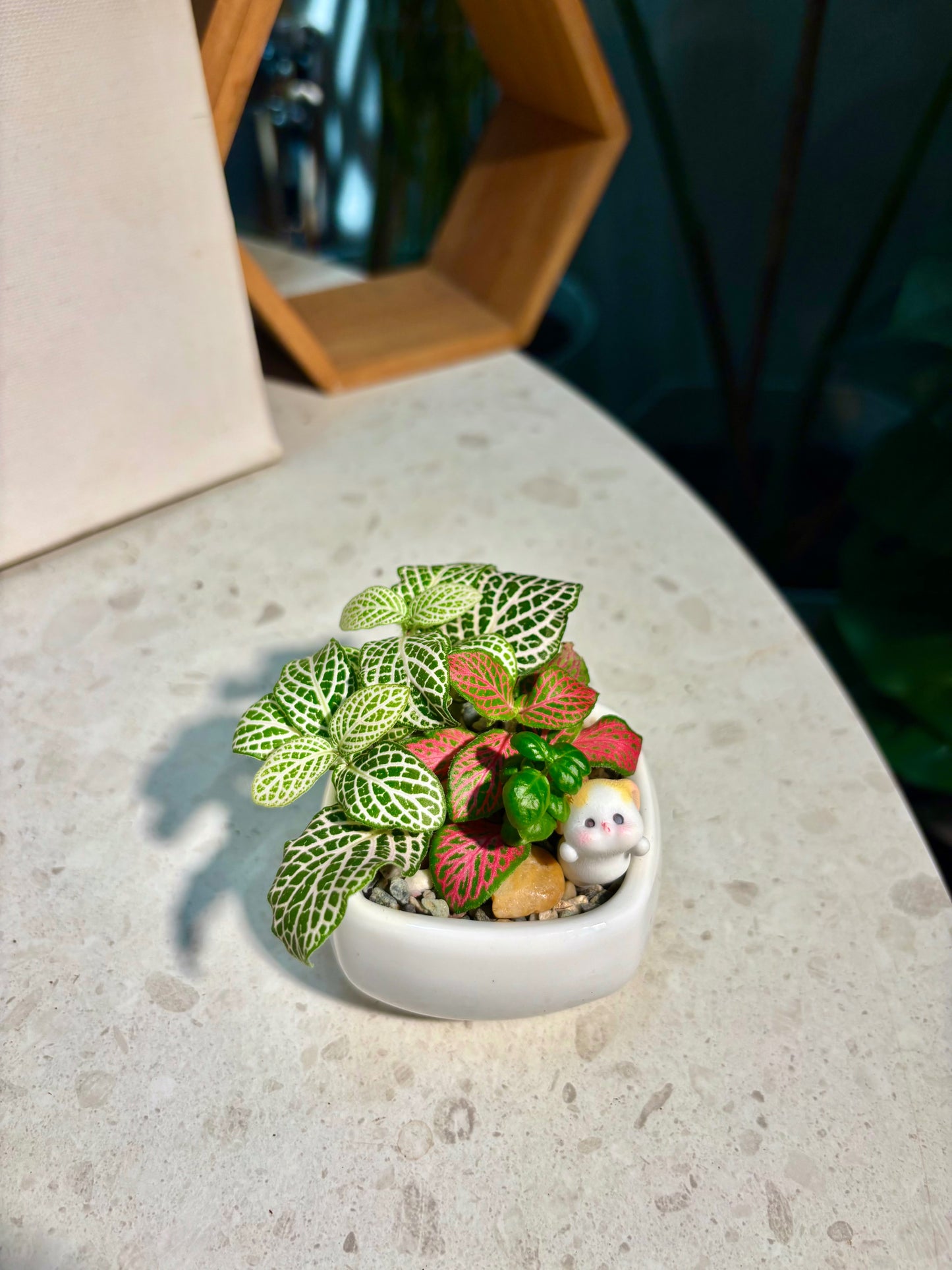 Fittonia & Coprosma Repens Arrangement in Little Bunny Pot🐰