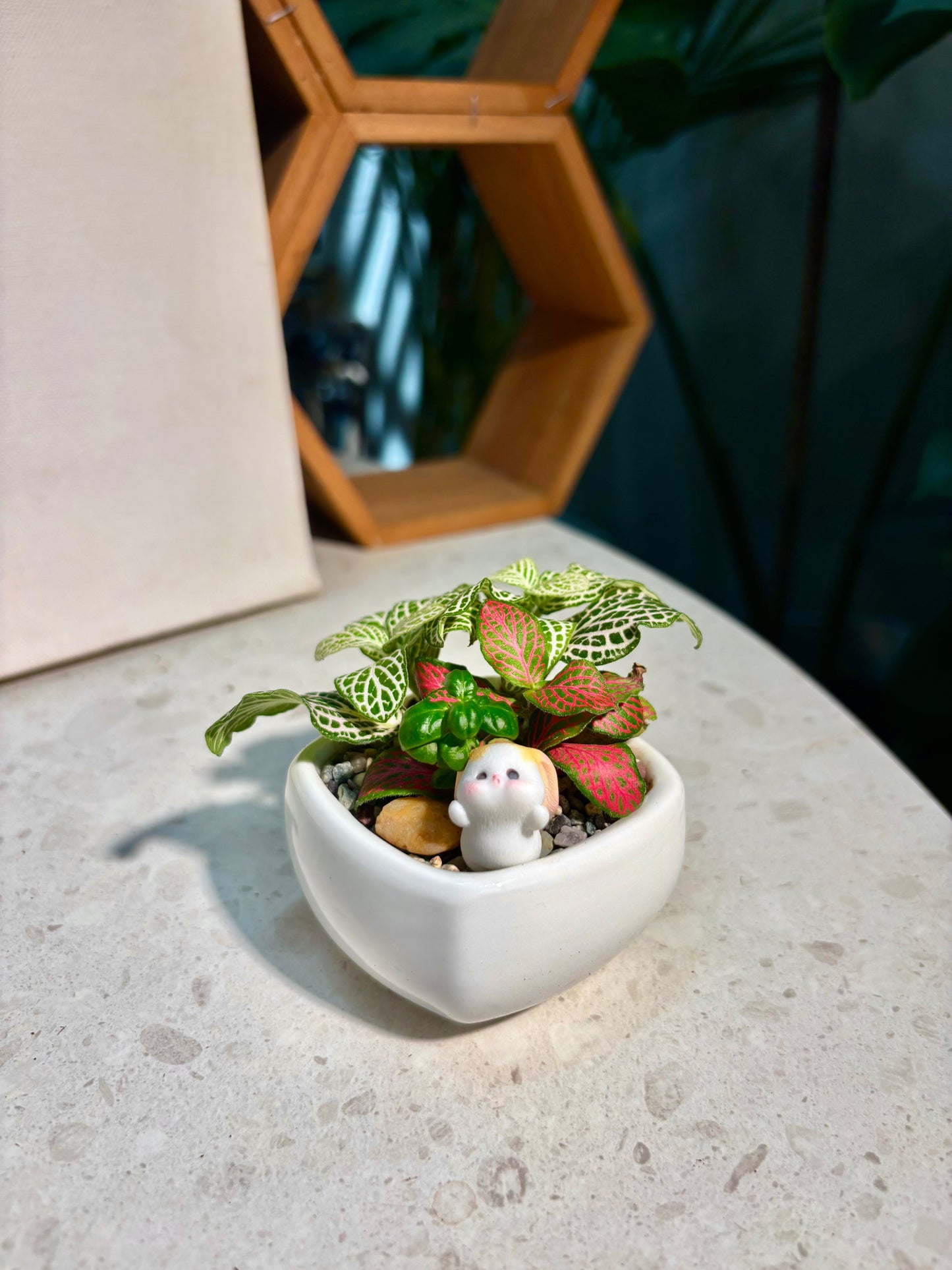 Fittonia & Coprosma Repens Arrangement in Little Bunny Pot🐰