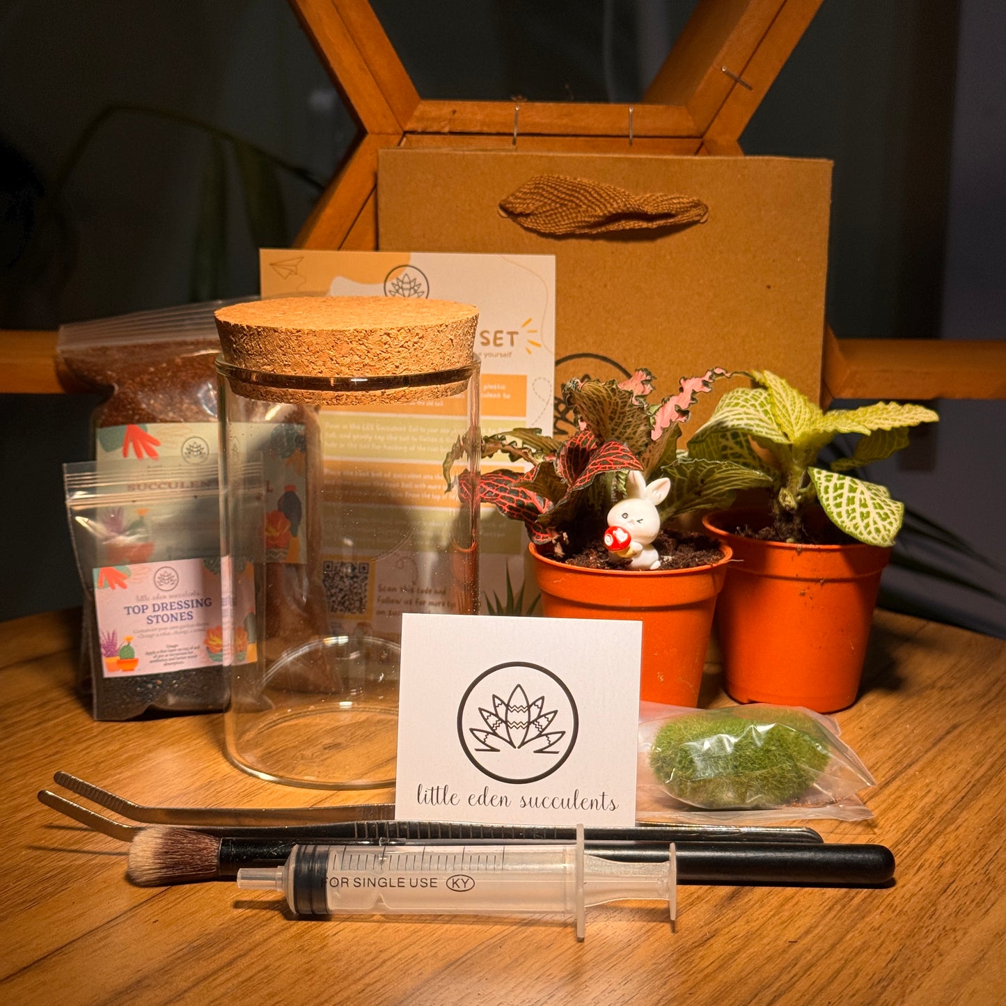 Cylindrical Covered Glass Indoor Plant Terrarium (L) DIY Kit