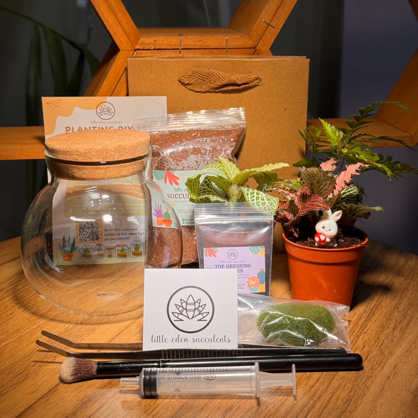 Round Covered Glass Indoor Plant Terrarium (S) DIY Kit