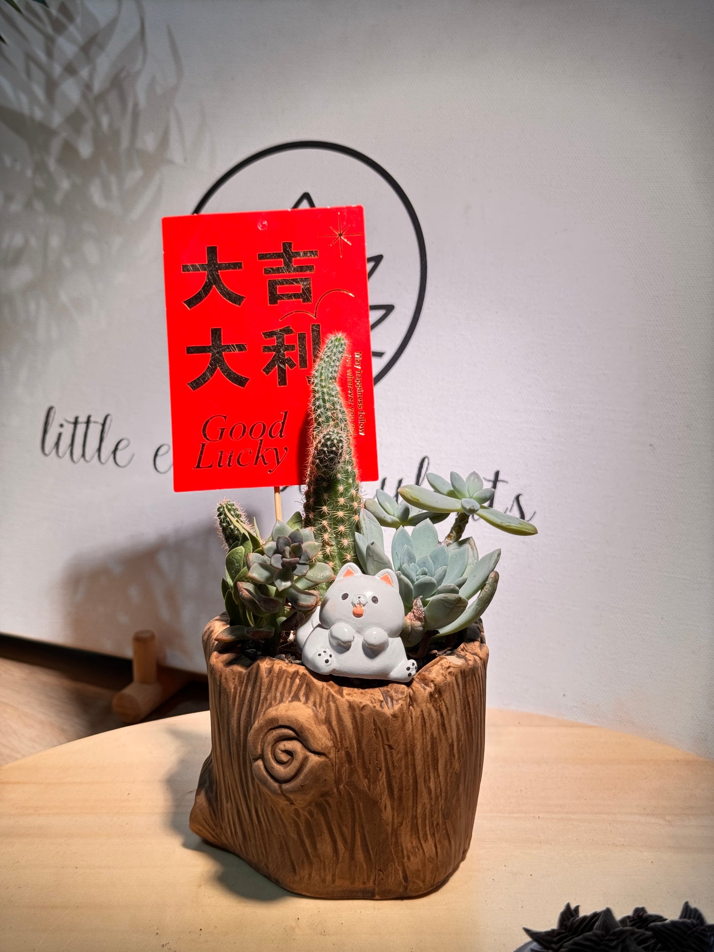Desert Mini Garden Succulent Arrangement