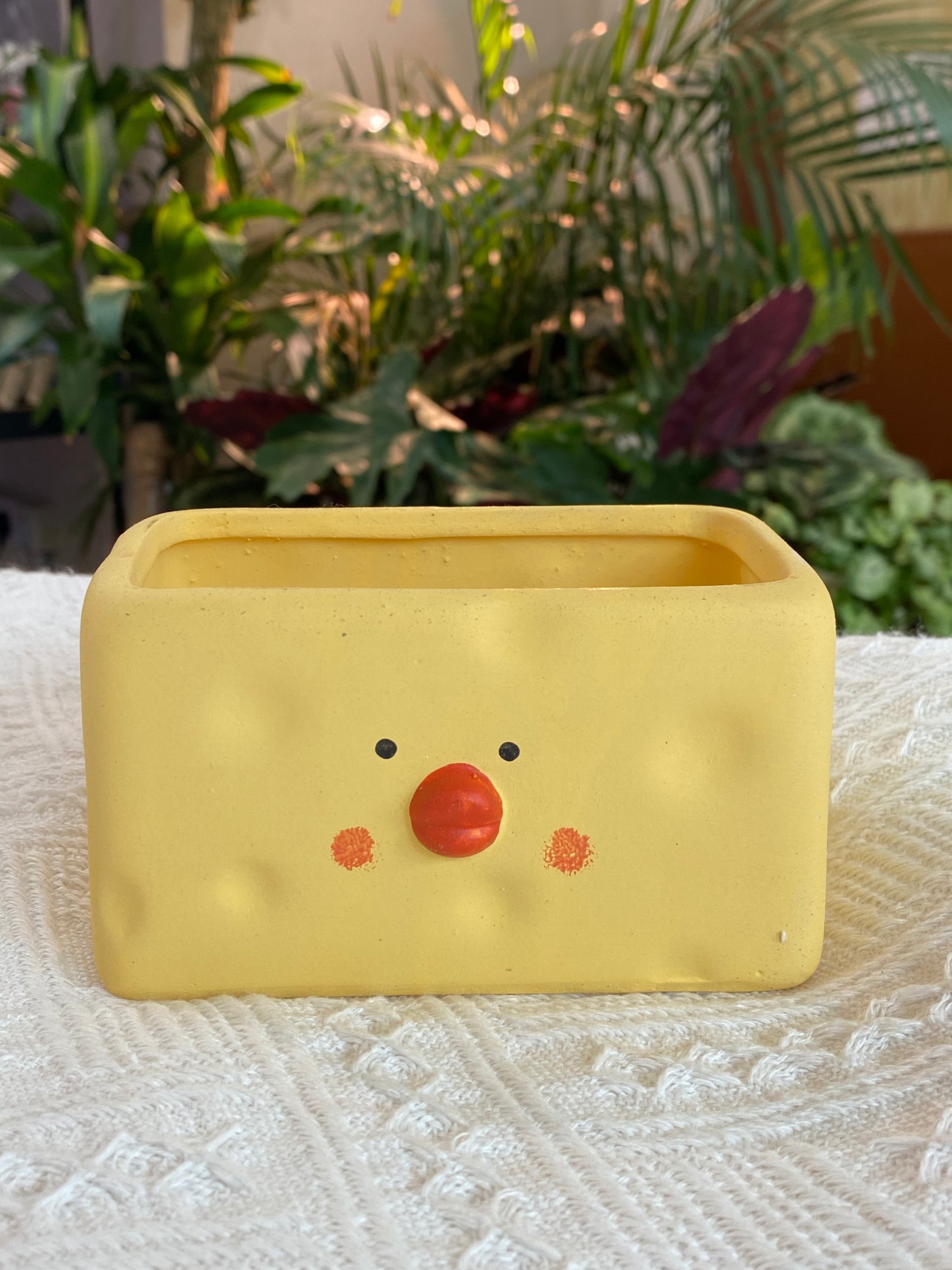 Animal Pot-Chicky