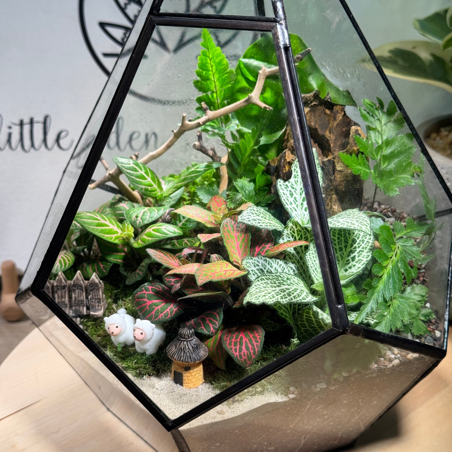 Fittonia & Fern with Moss Arrangement in Diamond Glass Terrarium (L)
