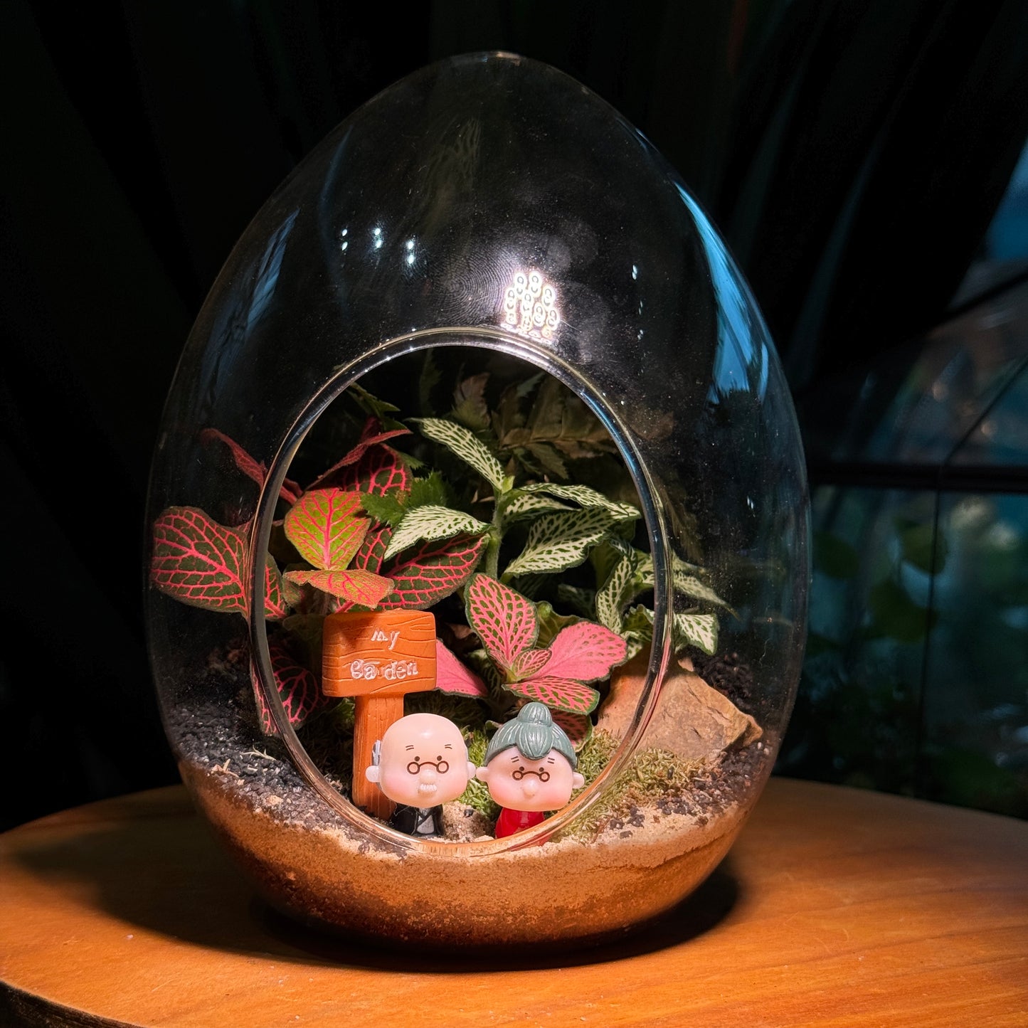 Fittonia and Fern Arrangement in Eggette Glass (L)