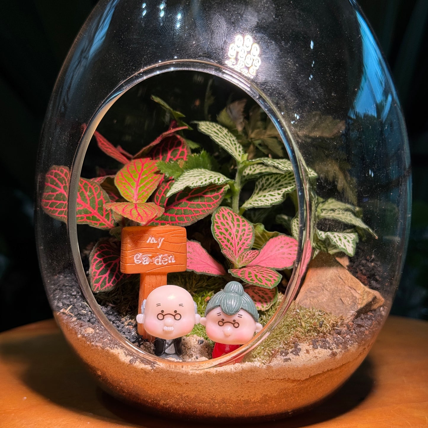Fittonia and Fern Arrangement in Eggette Glass (L)