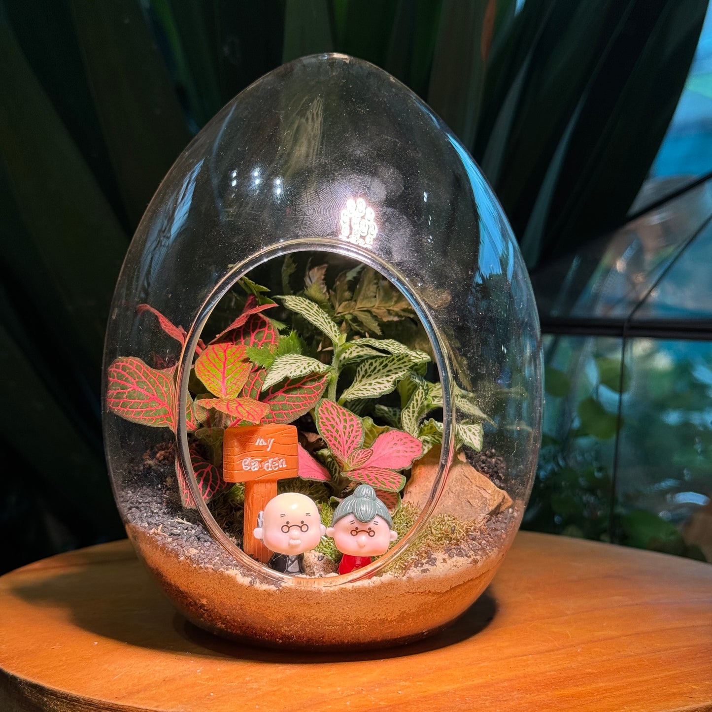Fittonia and Fern Arrangement in Eggette Glass (L)