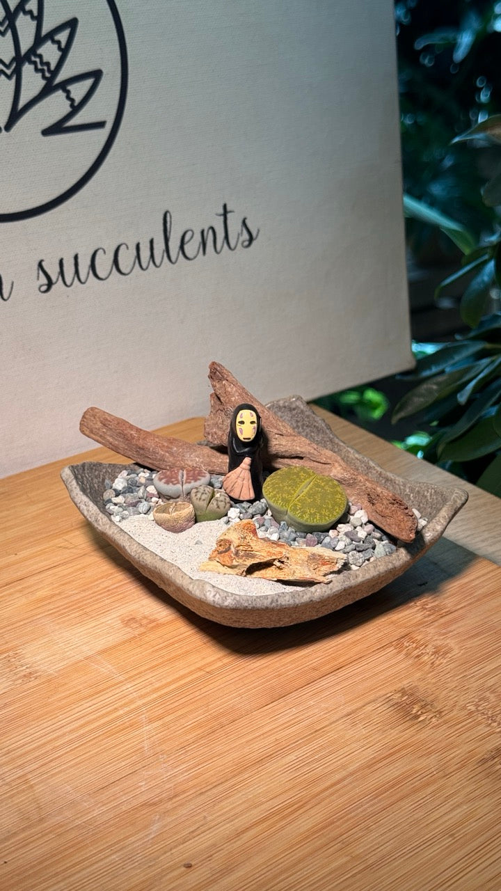 Lithops Arrangement in Zen Grey Pot