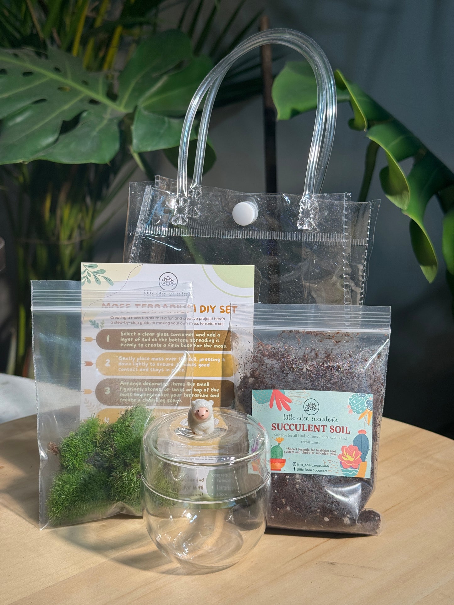 Tea Glass Moss Terrarium DIY Set