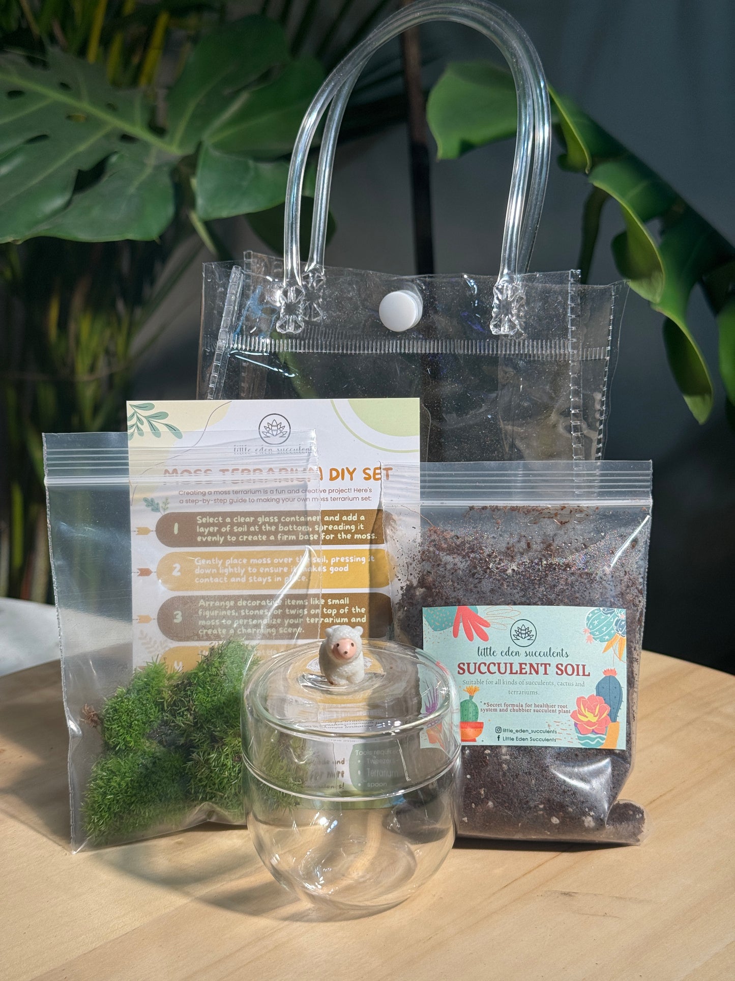 Tea Glass Moss Terrarium DIY Set