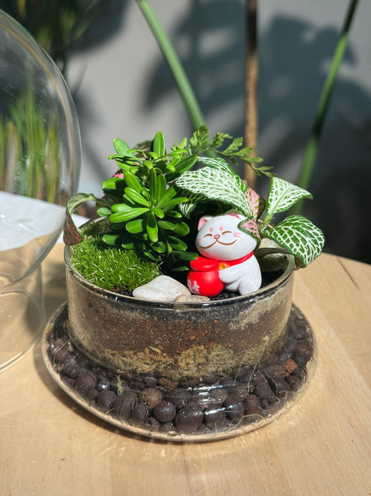 Fittonia & Fern with Moss Arrangement in Clear Dome Glass Terrarium