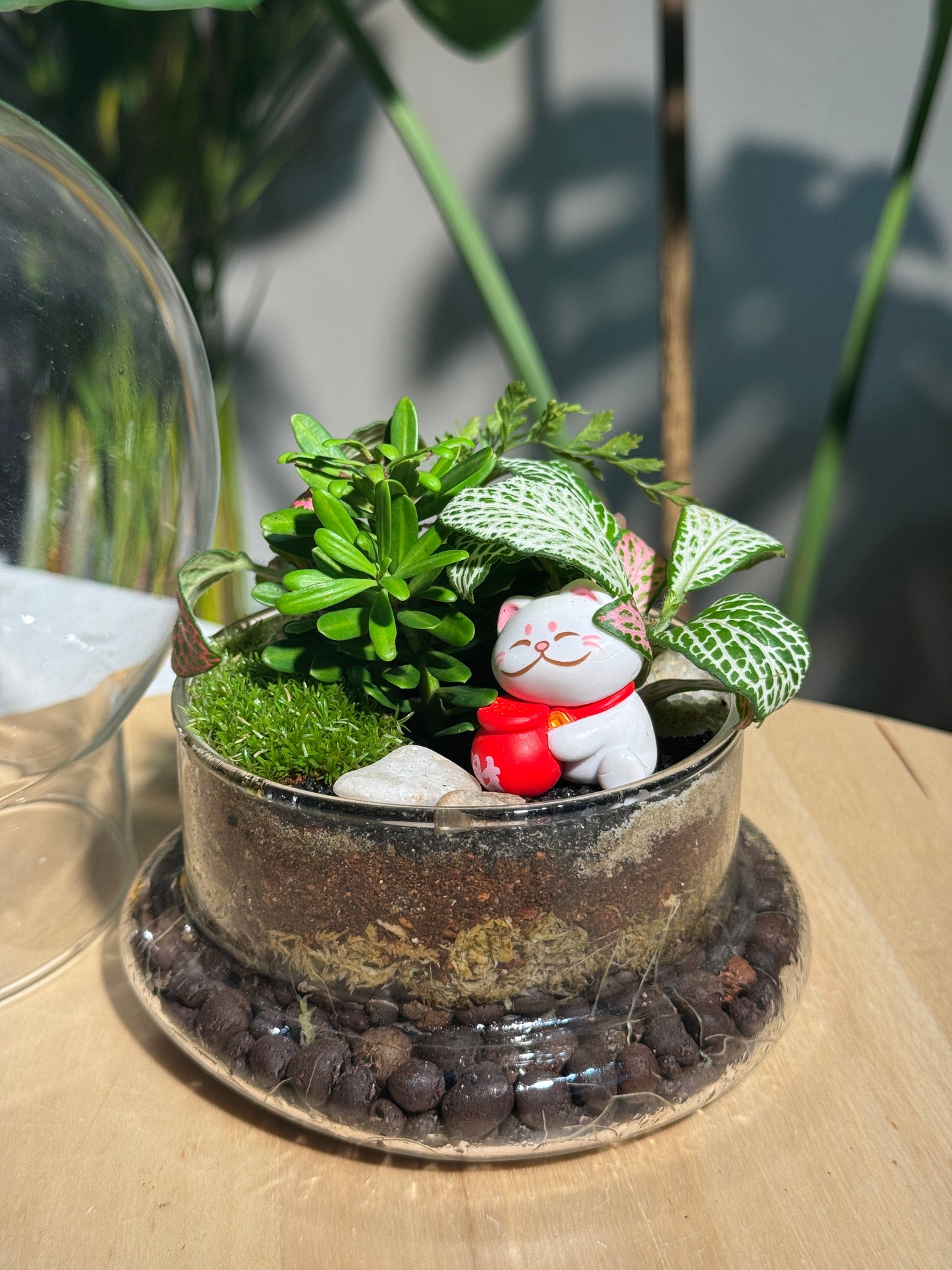 Fittonia & Fern with Moss Arrangement in Clear Dome Glass Terrarium