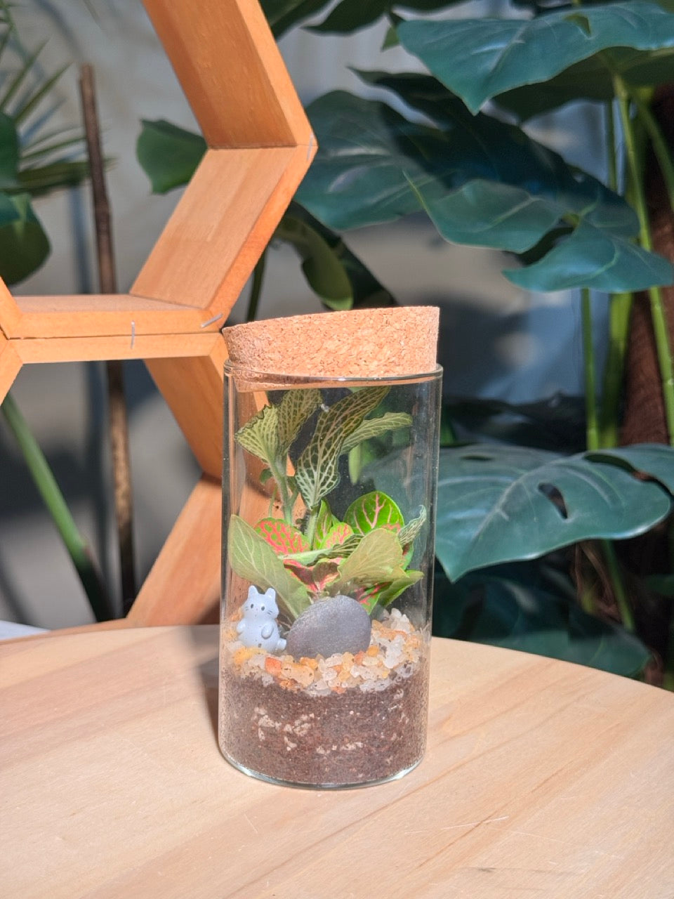 (Pre-order) Indoor Plant in Cylindrical Glass (S, M, L)