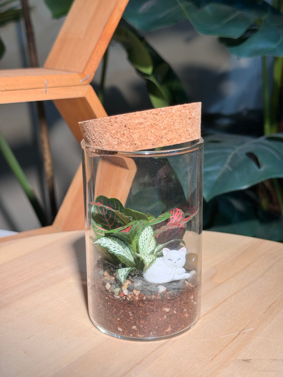 (Pre-order) Indoor Plant in Cylindrical Glass (S, M, L)
