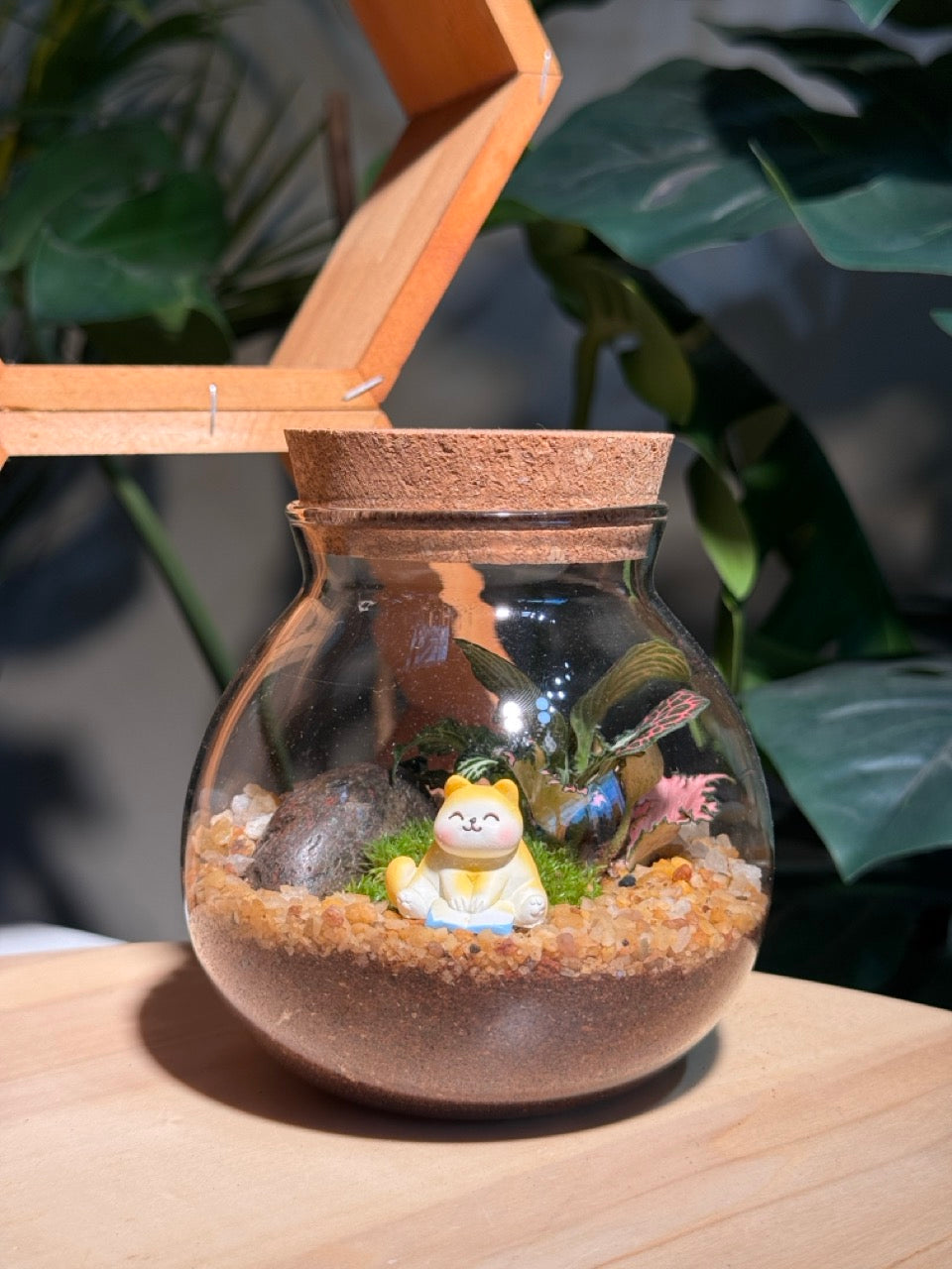 Fittonia and Fern with Moss Arrangement in Round Covered Glass Terrarium