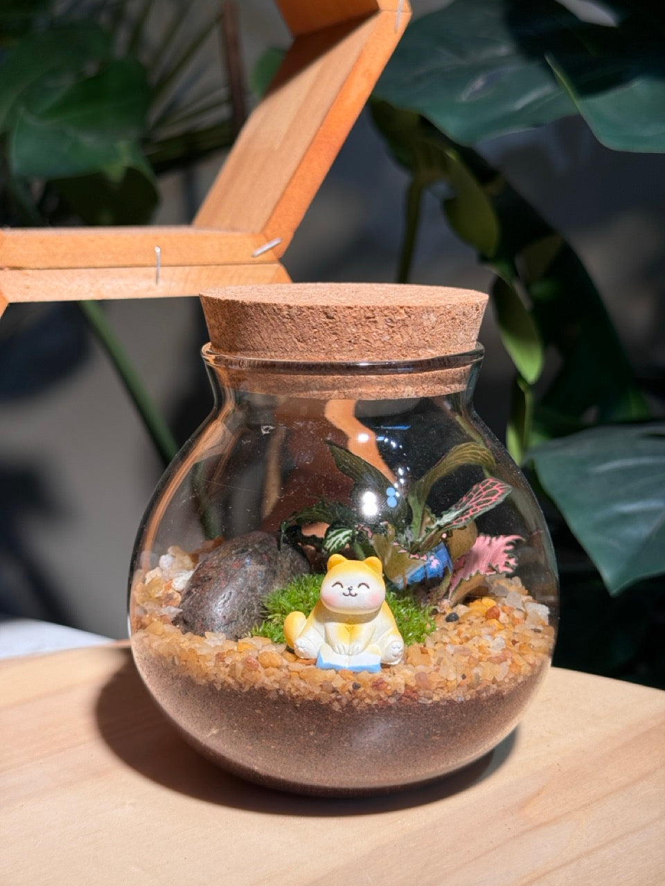 Fittonia and Fern with Moss Arrangement in Round Covered Glass Terrarium