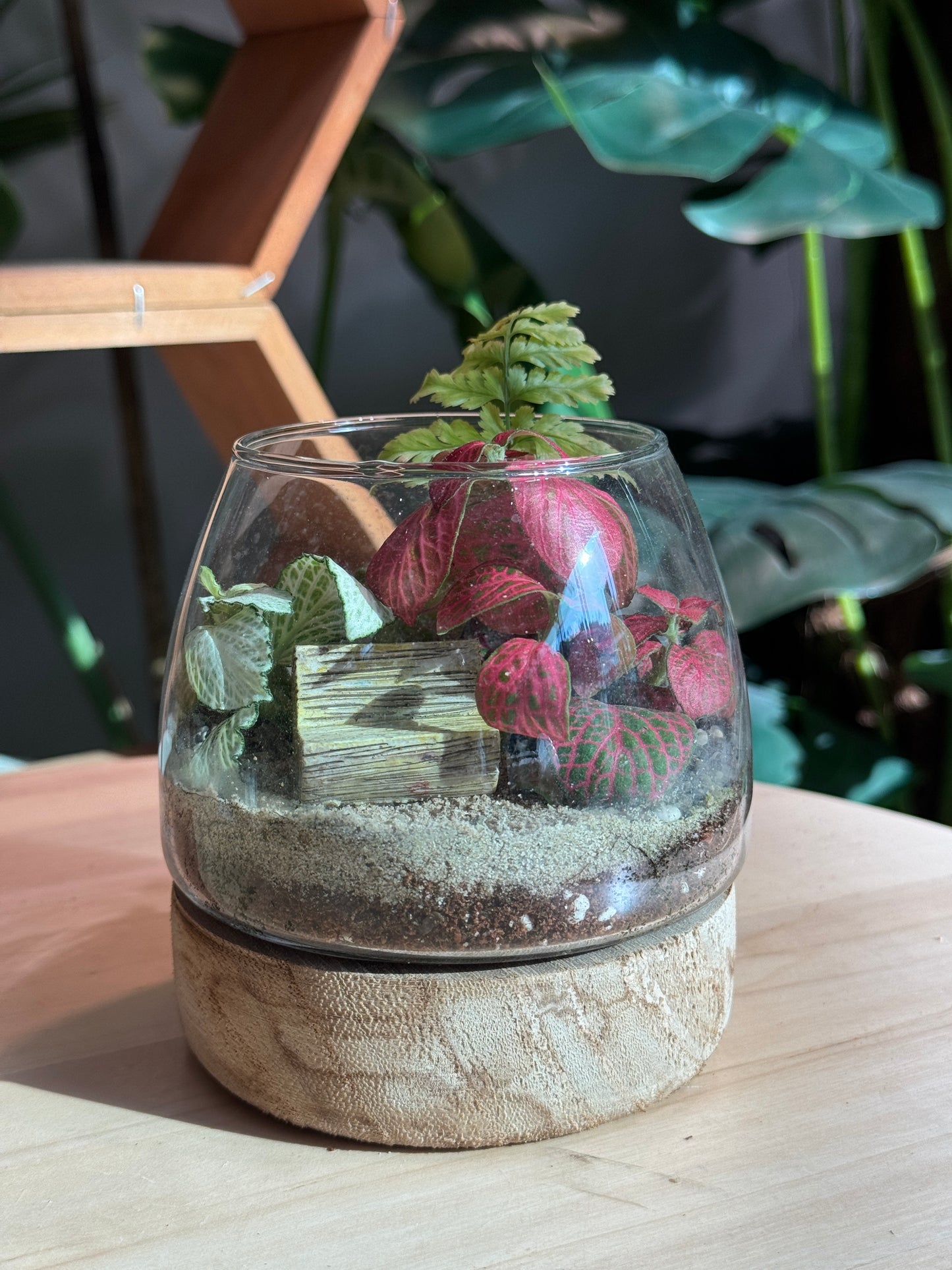 (Pre-order) Indoor Plant in Muji Glass Wooden Base