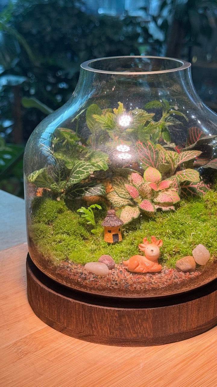 (Pre-order) Indoor Plant and Moss Arrangement in Wine Bottle Terrarium (M)