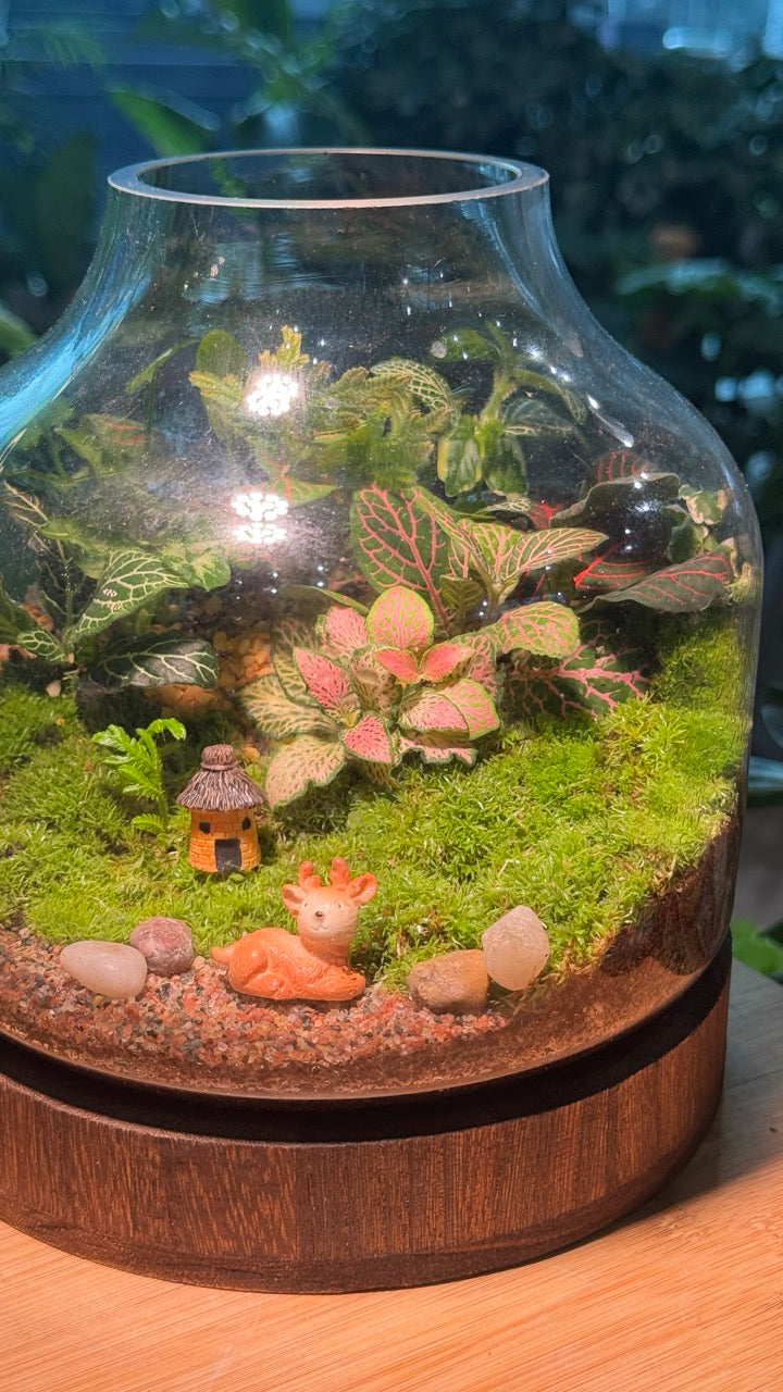 (Pre-order) Indoor Plant and Moss Arrangement in Wine Bottle Terrarium (M)