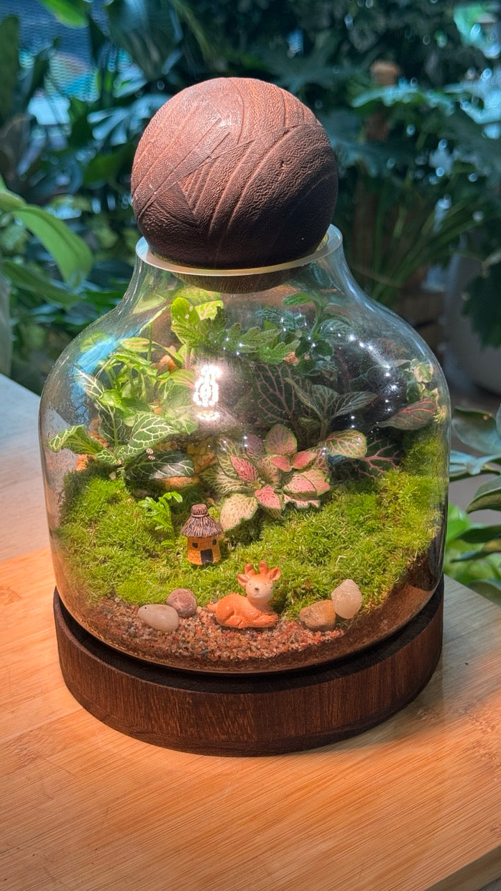(Pre-order) Indoor Plant and Moss Arrangement in Wine Bottle Terrarium (M)