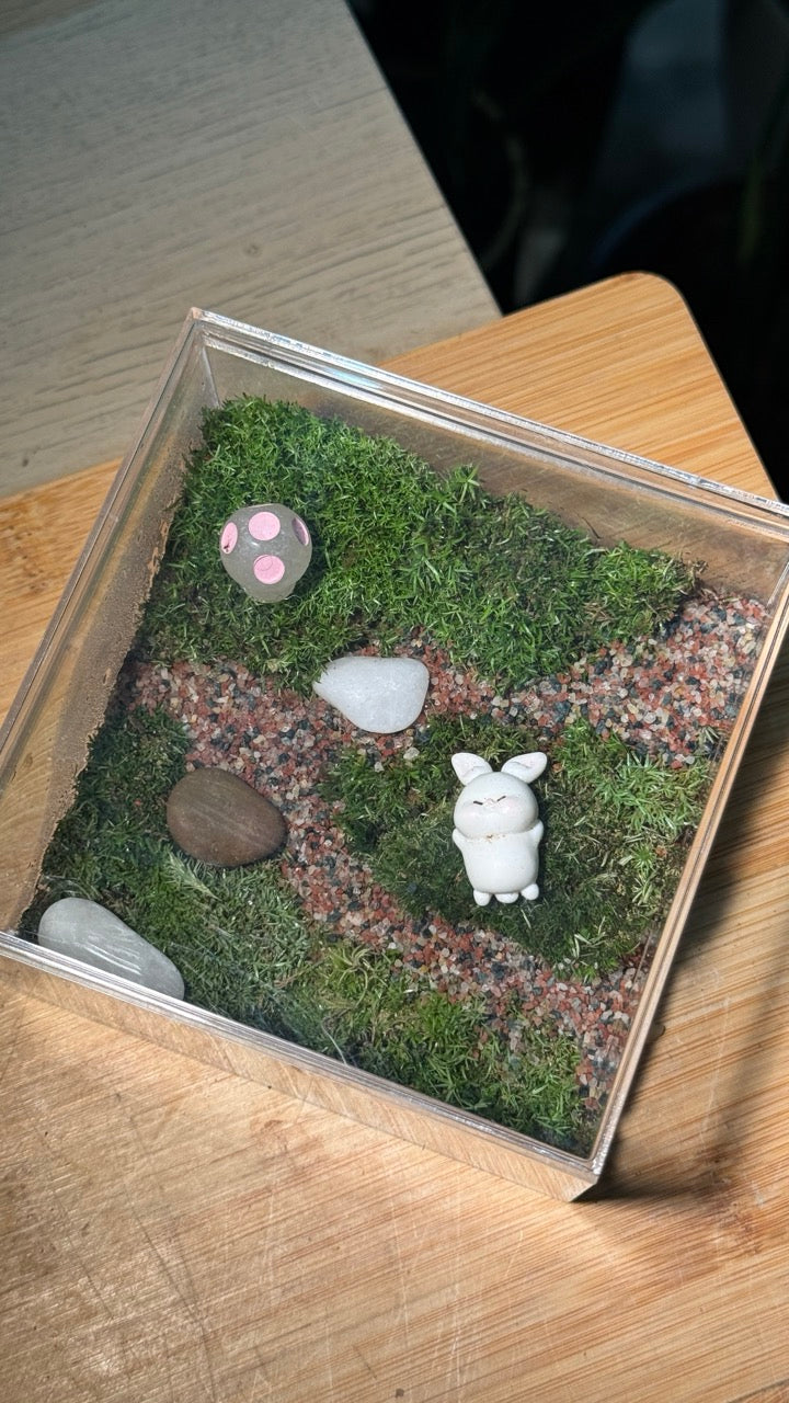 Moss Arrangement in Arcylic Terrarium (L2)