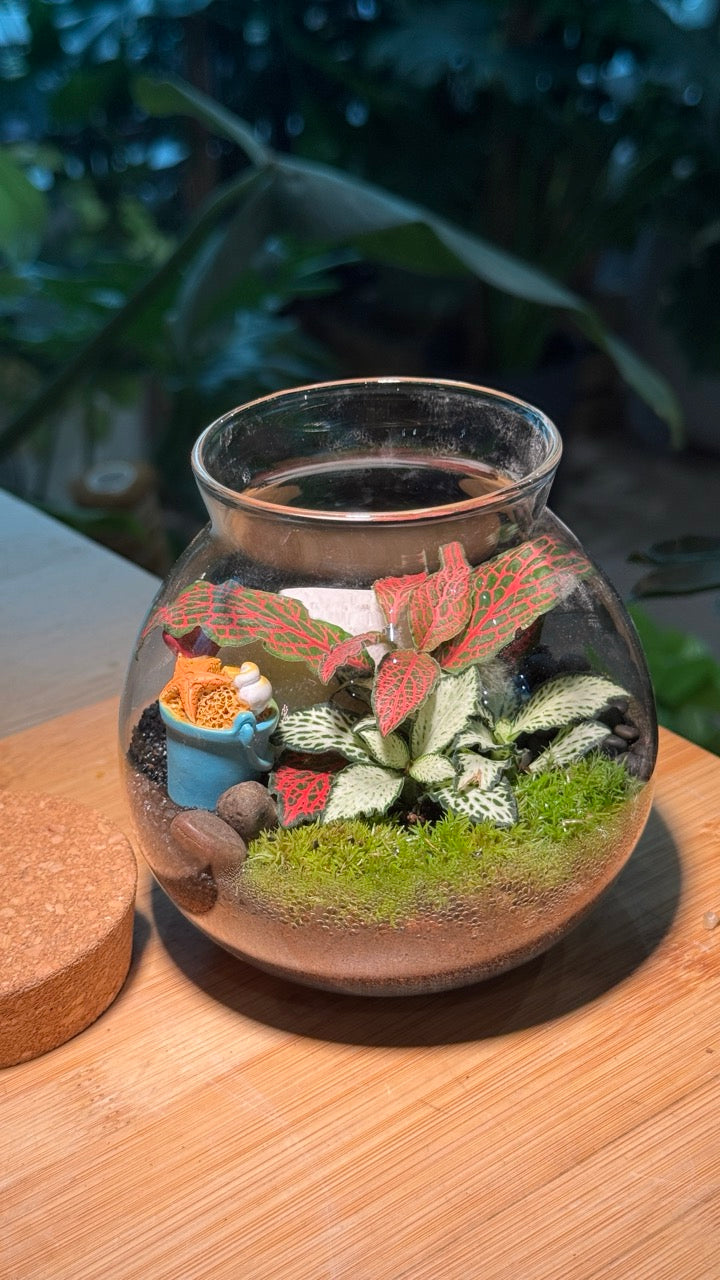 Indoor Plants in Round Covered Glass (S)