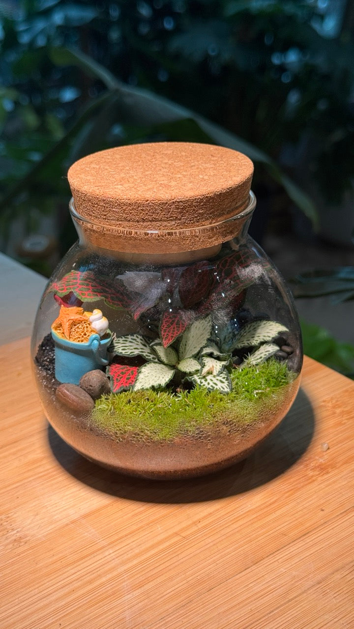 Indoor Plants in Round Covered Glass (S)