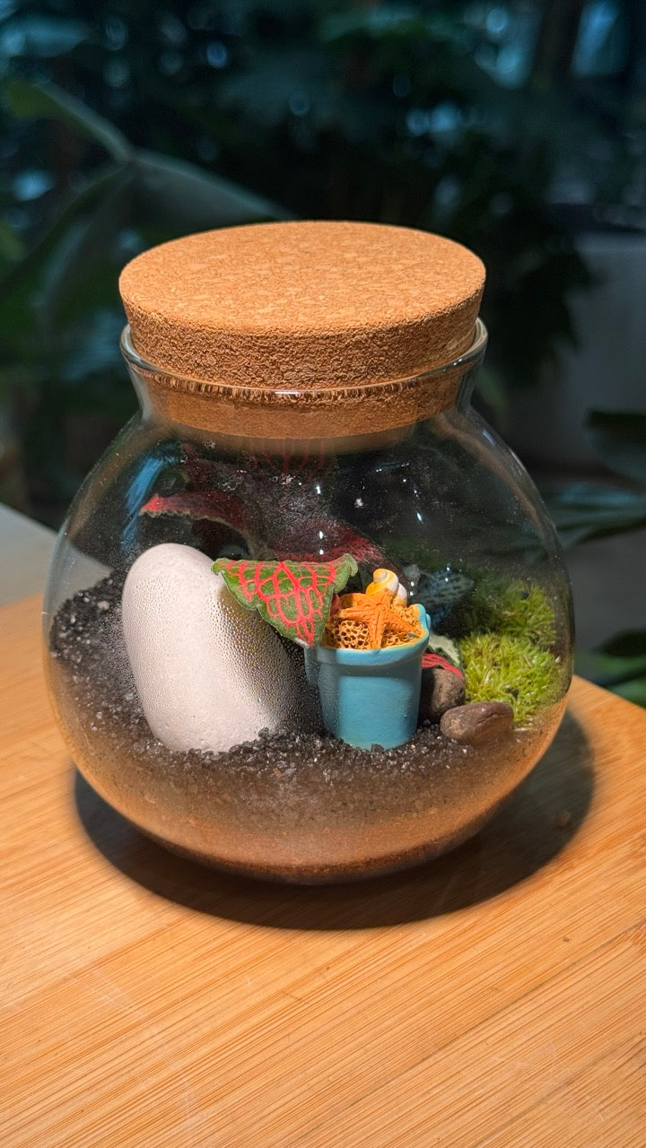 Indoor Plants in Round Covered Glass (S)