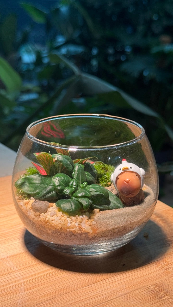 Capybara - Fittonia with Moss Arrangement in Crystal Glass (M)