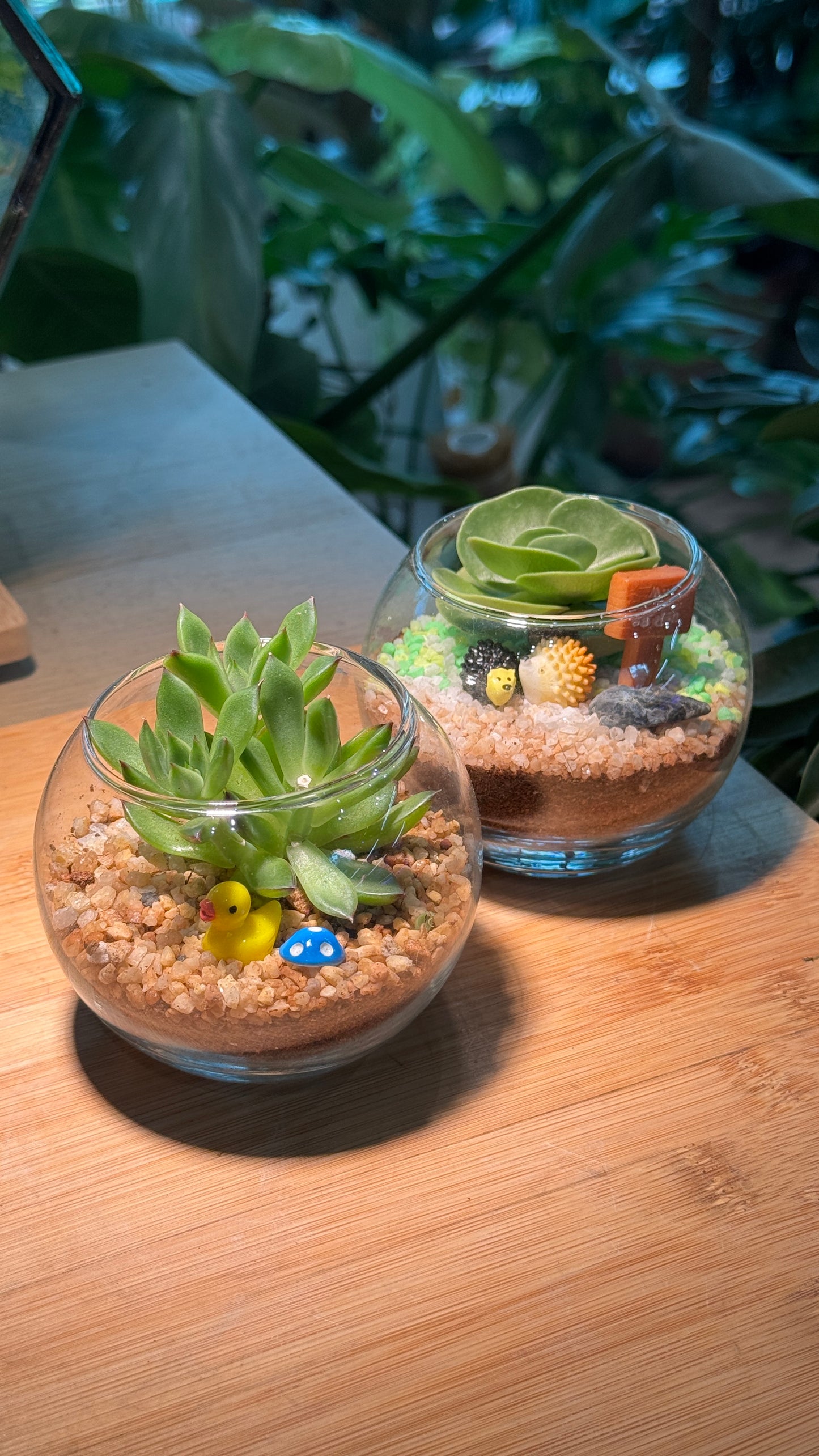 (Pre-order) Crystal Glass Succulent Terrarium