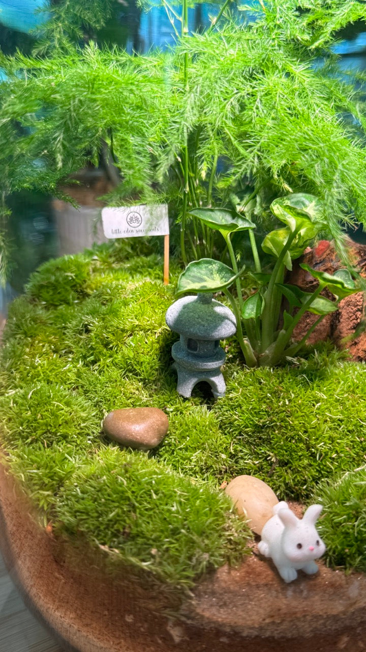 Asparagus Fern with Moss Arrangement in Tall Fishbowl Glass Without Lid