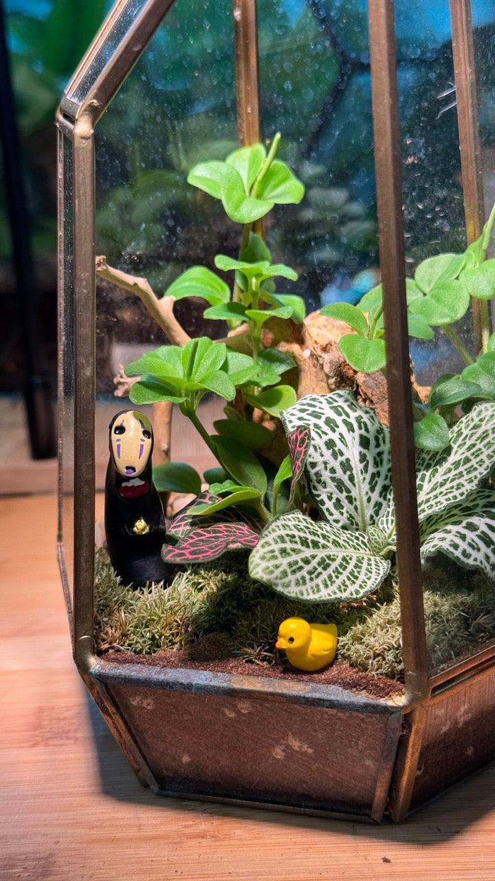 Indoor Plants with Moss Arrangement in Gold Polygonal Tall Glass