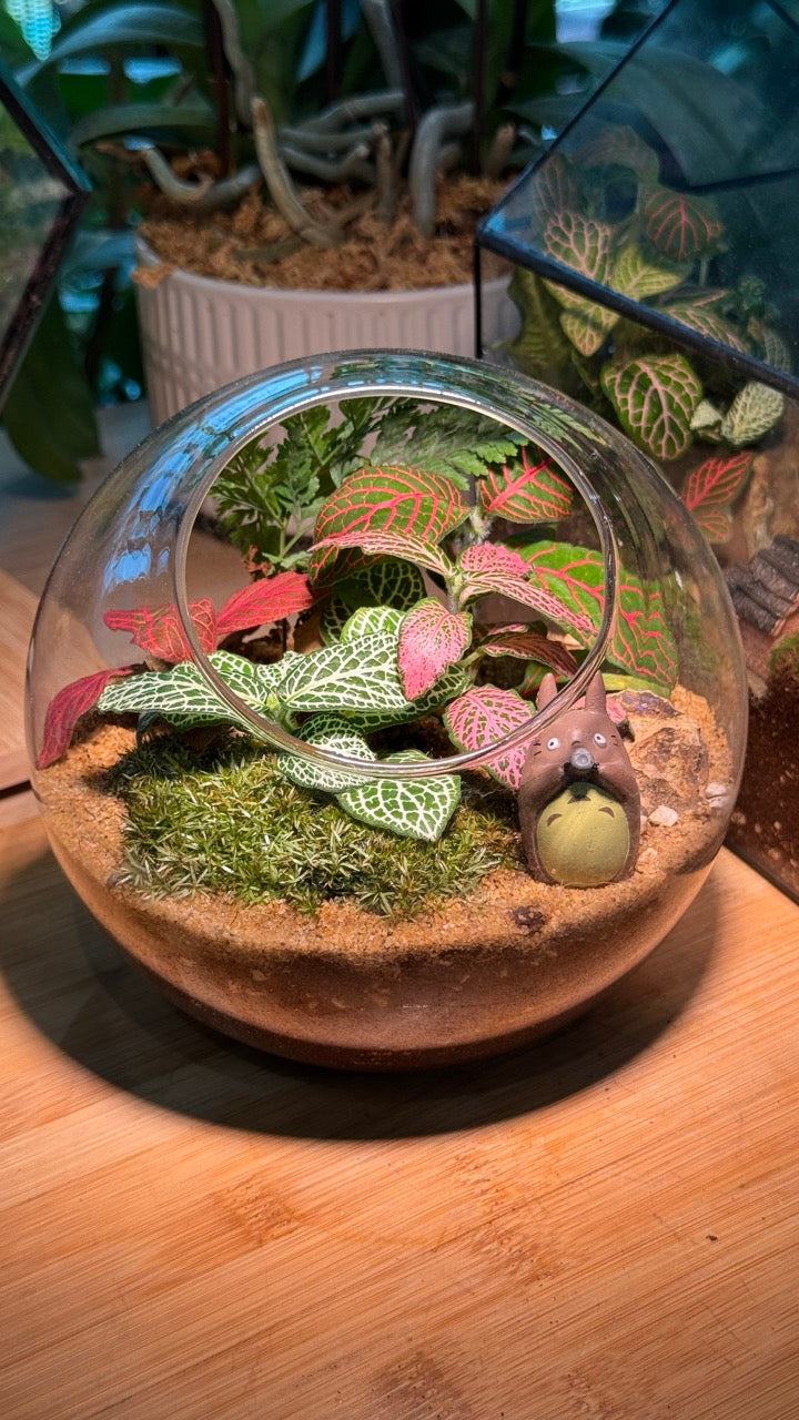 Totoro: Indoor Plants in Round Glass Terrarium (L)
