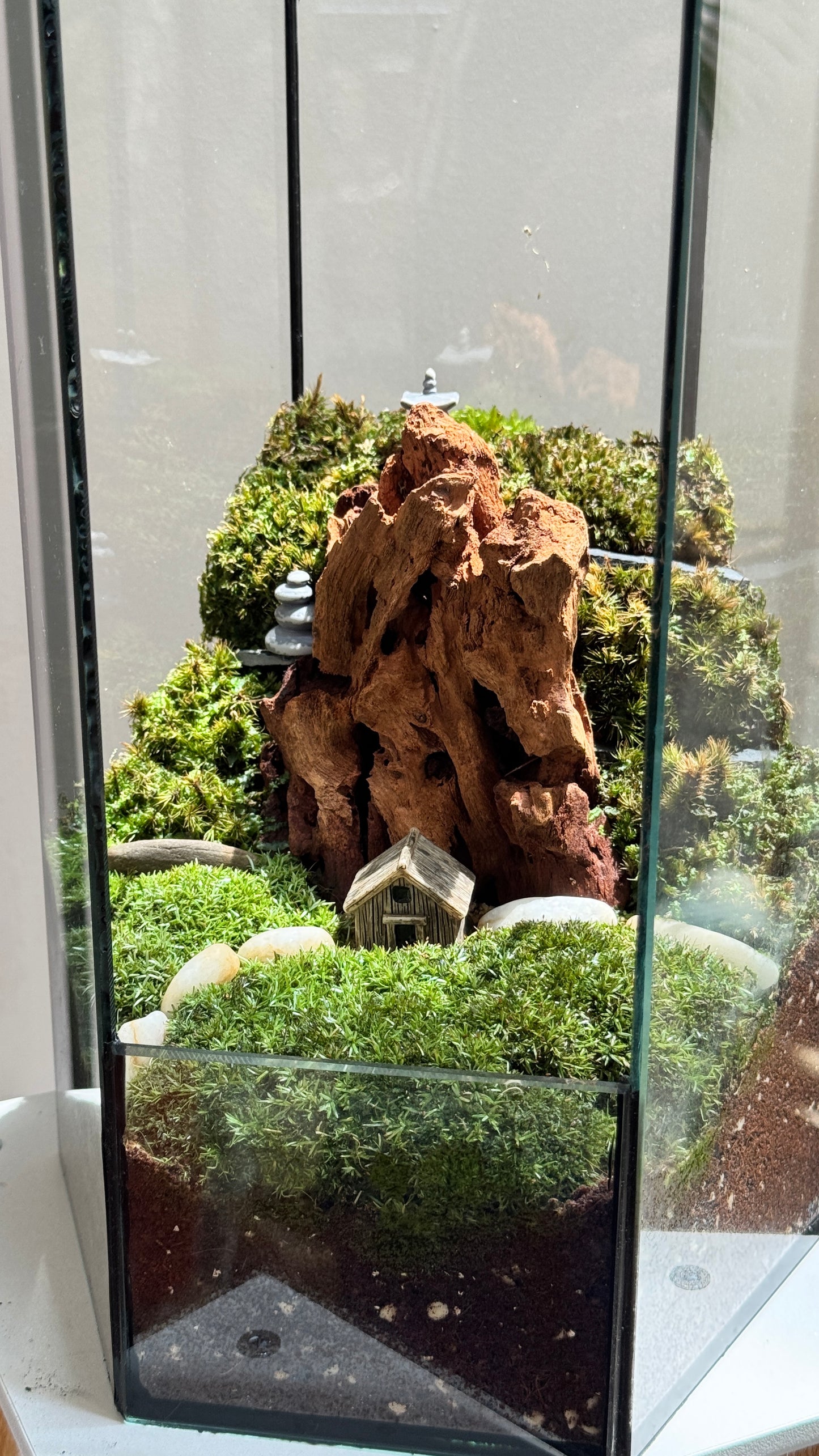 Moss Arrangement Like Mountain Design in Hexagonal Tall Terrarium