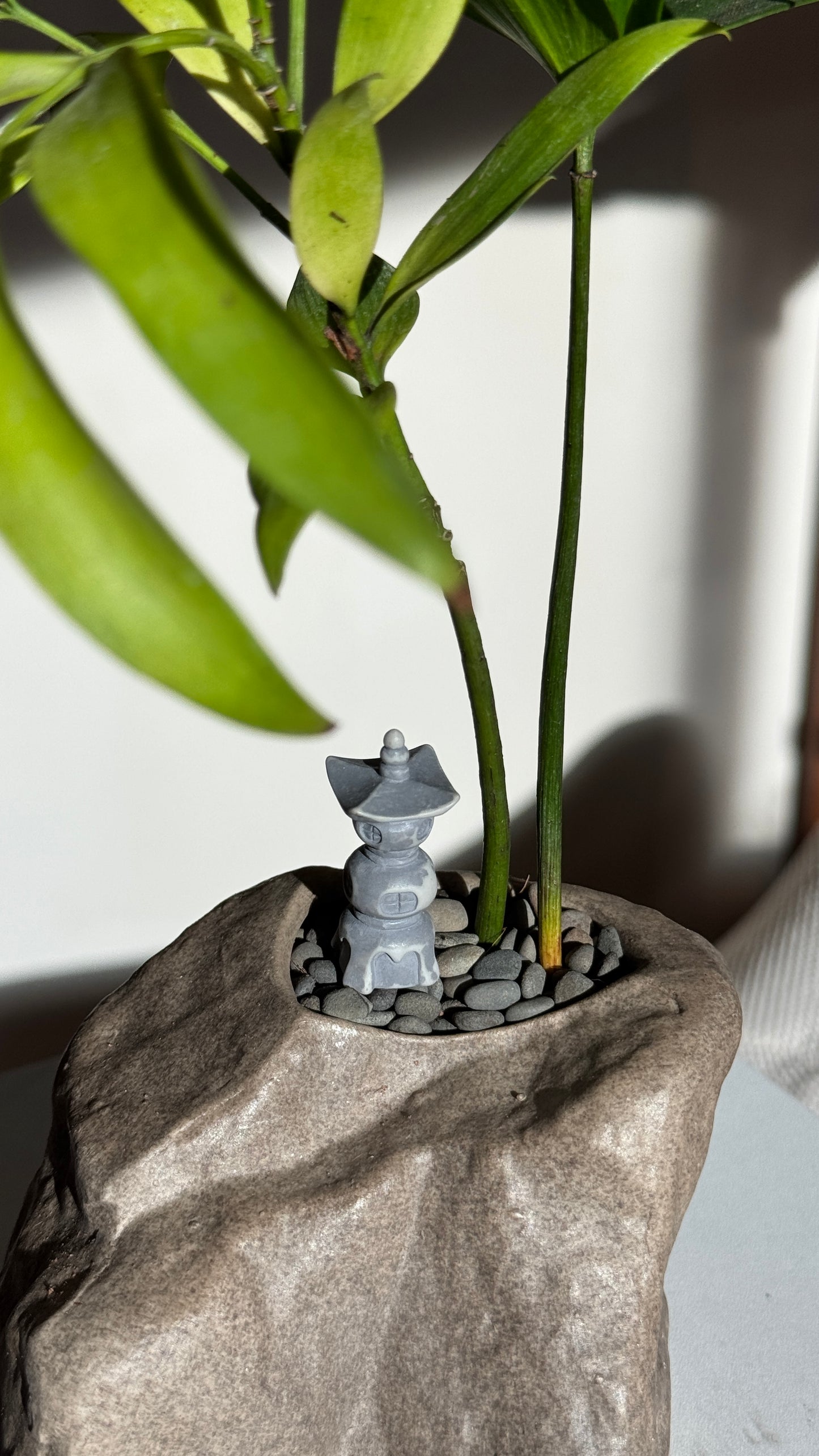 Nageia Nagi in Zen Faux Stone Pot