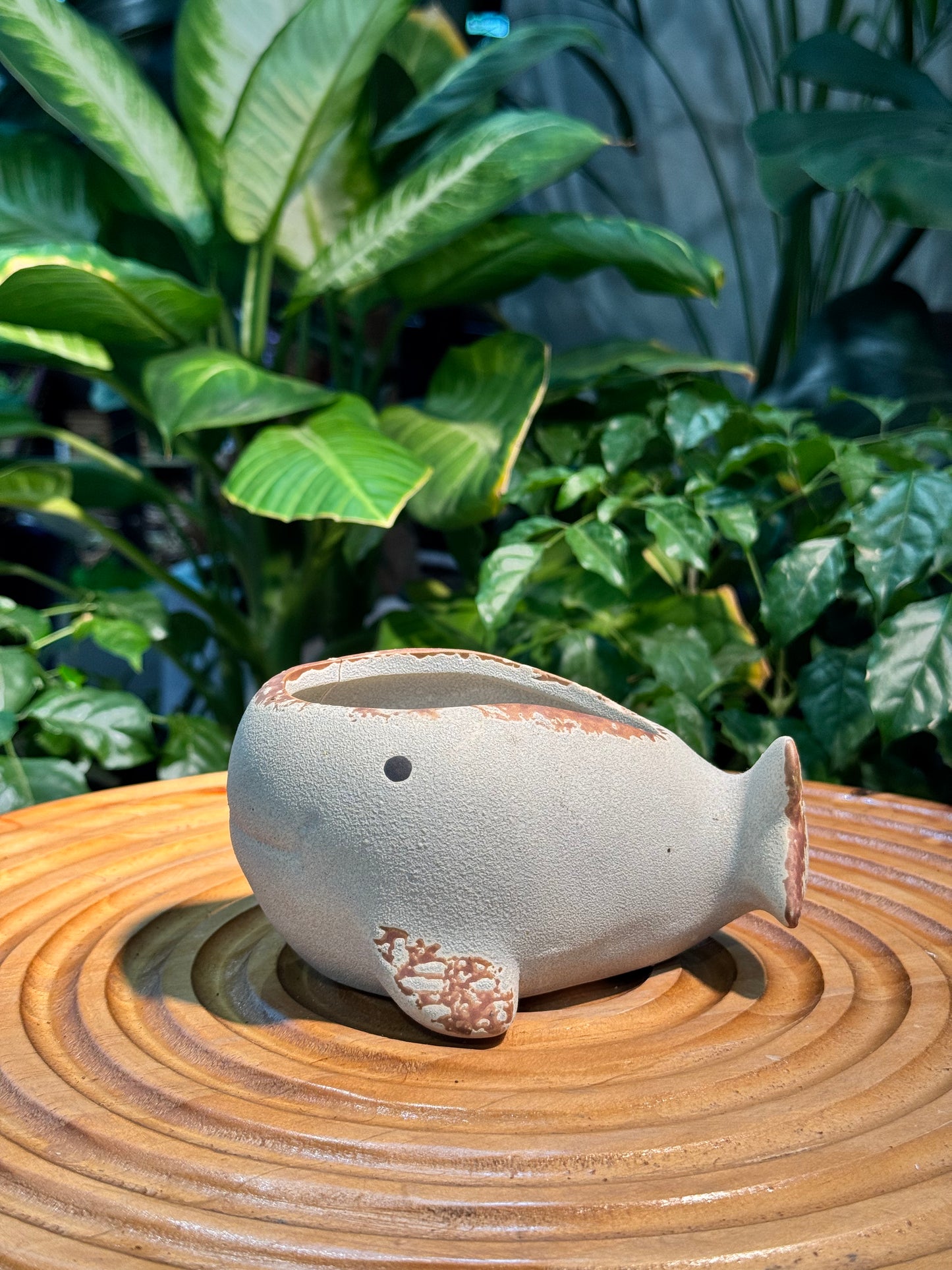 Whale Matte Ceramic Pot